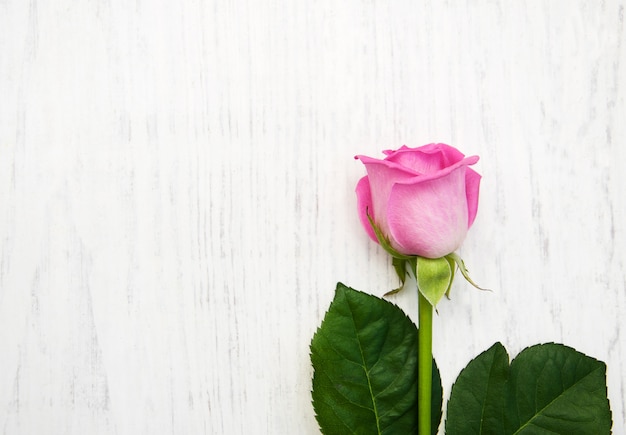 Rose on a wooden table