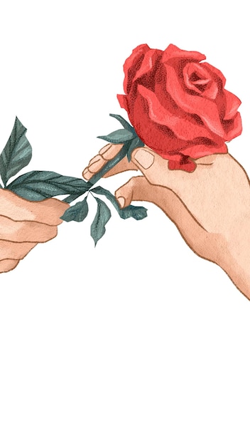 당신 을 위한 장미