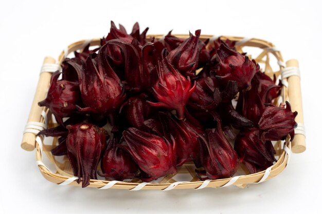 Roselle 꽃 흰색 배경에 고립입니다.