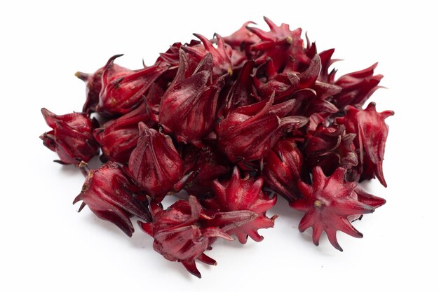 Roselle flower isolated on white background.