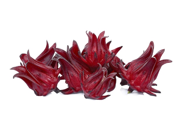 Roselle Hibiscus sabdariffa 붉은 과일 꽃은 흰색 배경에 격리됩니다.