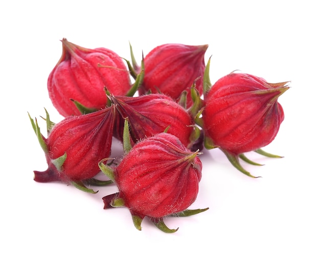 Roselle isolated on white background