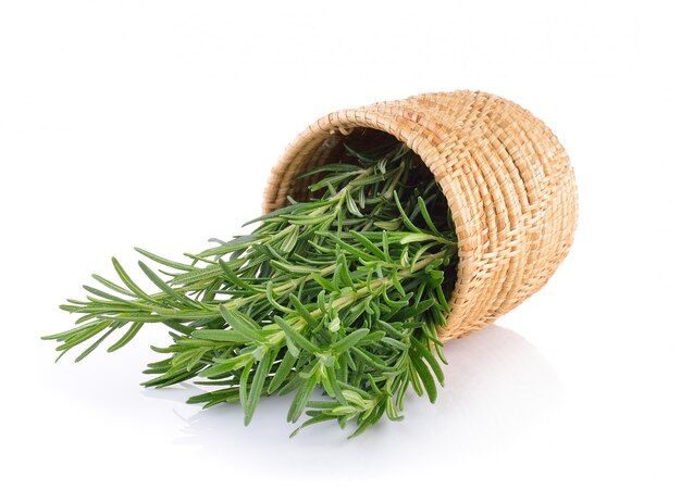 Rosemary in basket on white wall