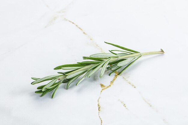 Rosemary branch organic spicy herb for cooking