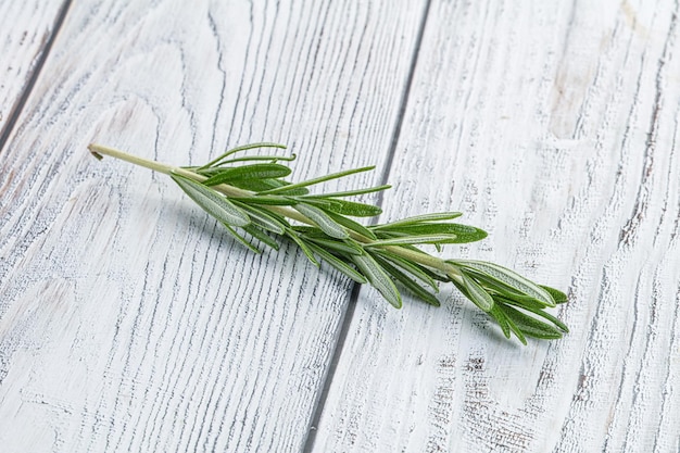 Rosemary branch organic spicy herb