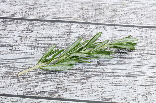 Rosemary branch organic spicy herb