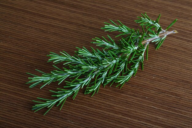 Rosemary branch