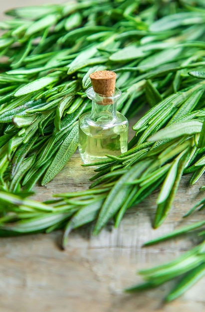 Rosemary essential oil in a small bottle. Selective focus. Nature.