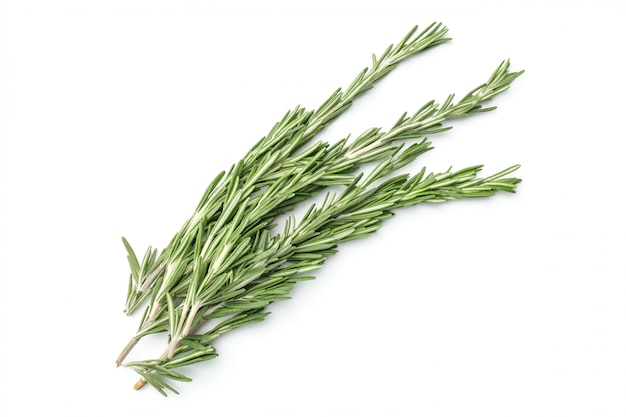 Rosemary isolated on white background