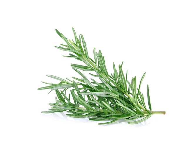 Rosemary isolated on white background