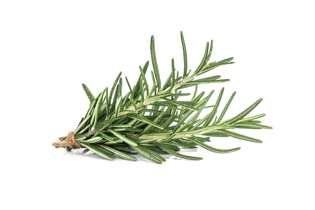 Rosemary isolated on white background