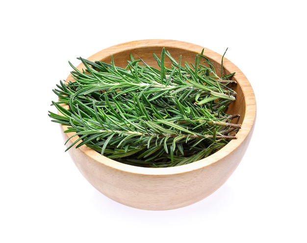 Rosemary isolated on white background