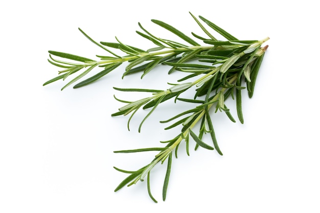 Rosemary isolated on white surface