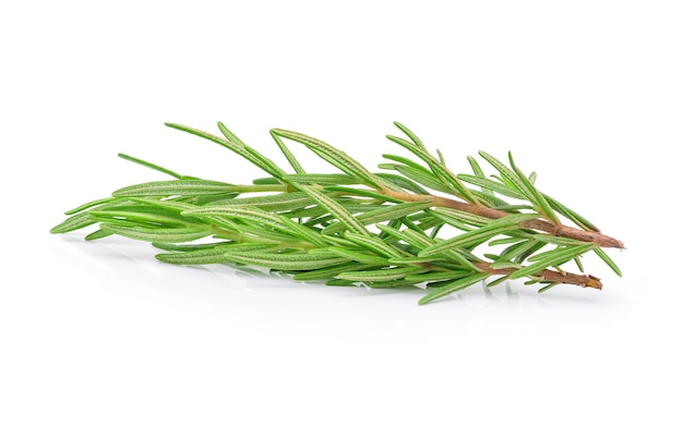 Rosemary isolated on white