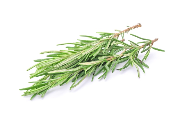 Rosemary isolated on white