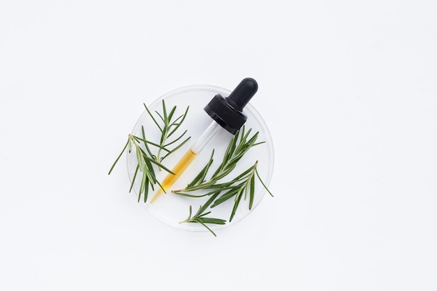rosemary leaves in petri dishes on white background