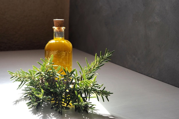 Rosemary oil bottle and rosemary sprigs on table gray background sunlight