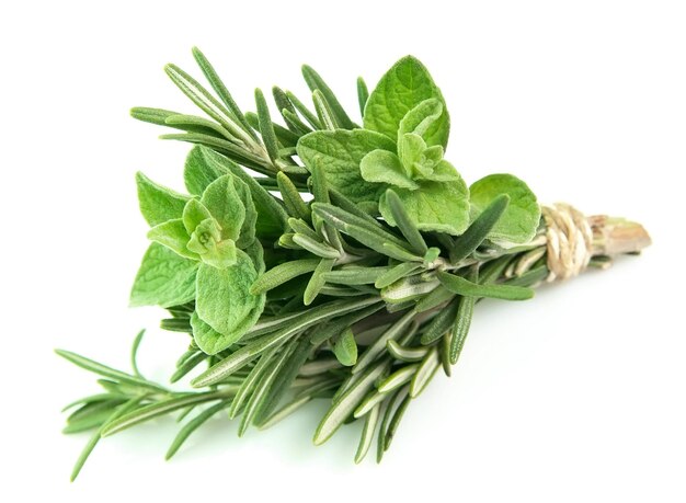 Photo rosemary and oregano