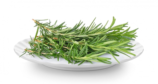 Rosemary in a plate on white space