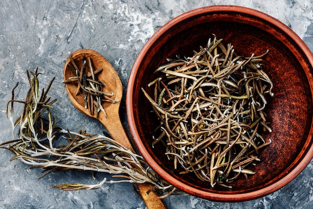 Photo rosemary spice herb