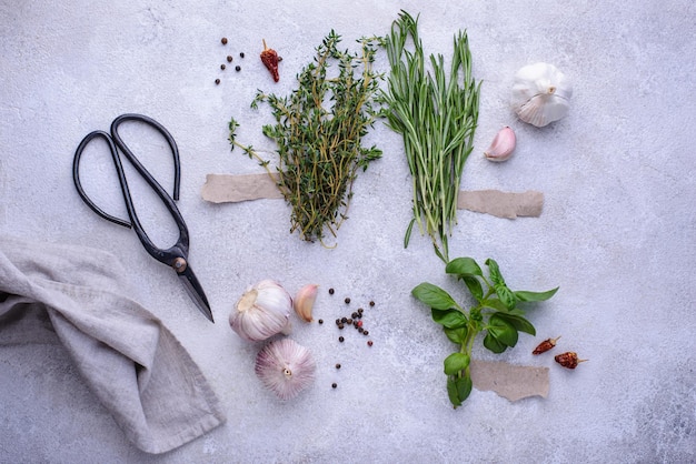 Rosemary thyme and basil fresh garden herbs