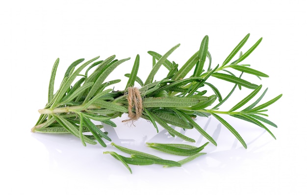 Rosemary on white background