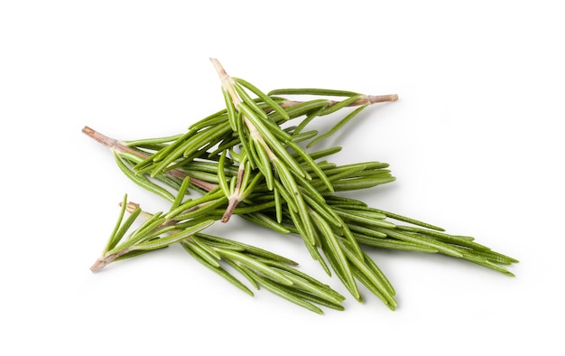 Rosemary