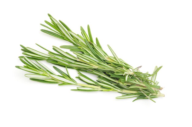 Rosemary