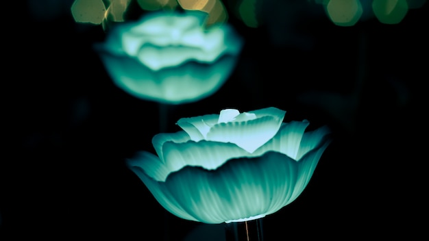 추상 bokeh 배경에 장미