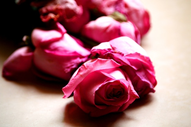 Roses are Pink