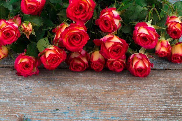 Roses on background of wooden planks with space for text. top view