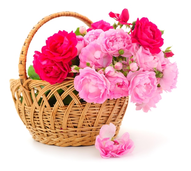 Roses in the basket