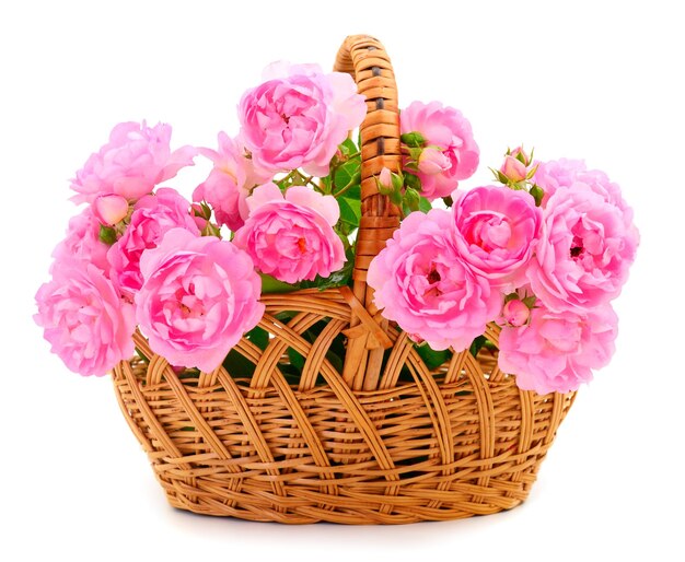 Roses in the basket