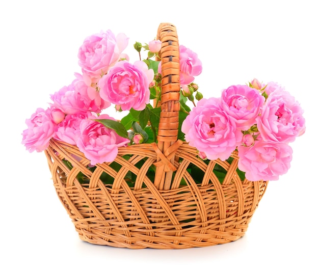 Roses in the basket