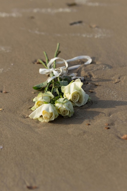 Foto rose sulla spiaggia