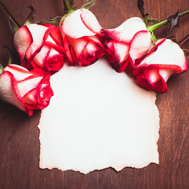 Rose e carta bianca stracciata sul tavolo