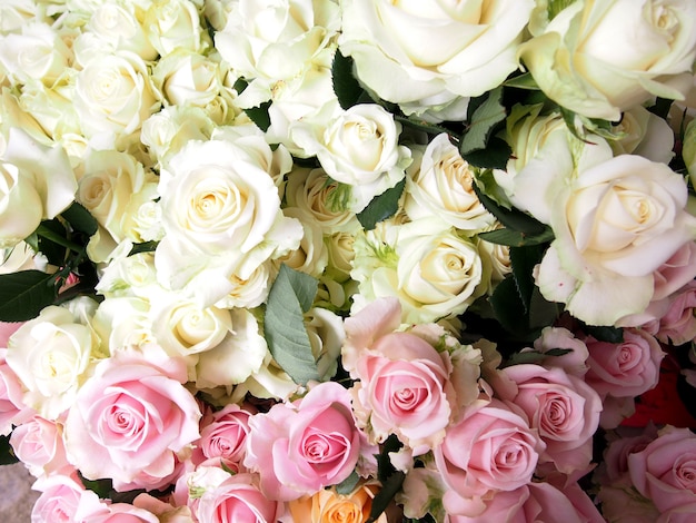 Bouquet di rose nella zona delle rose dell'azienda agricola