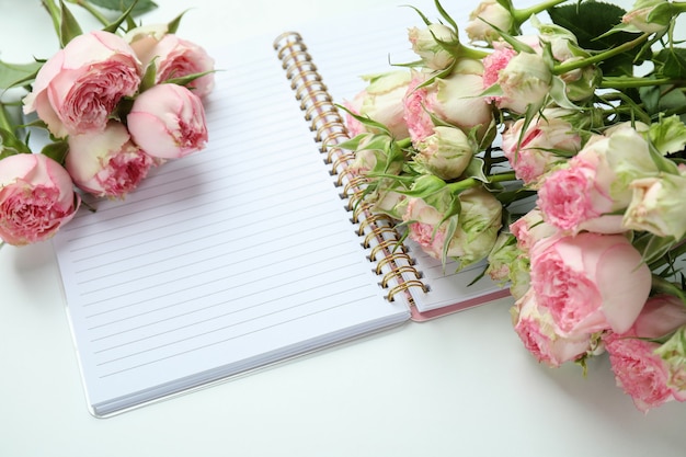 Roses and copybook on white, close up