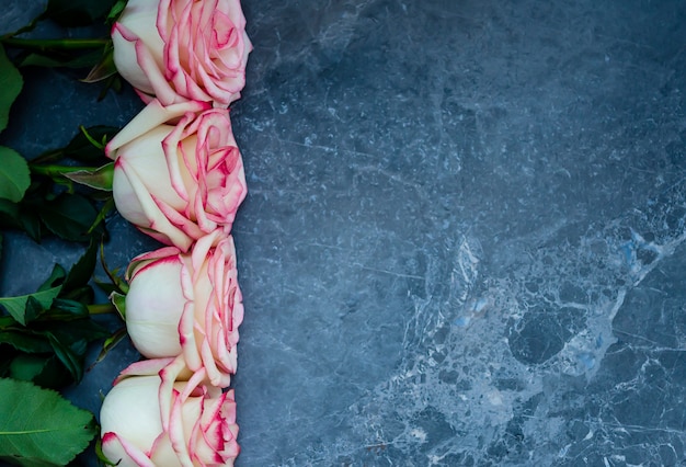 Photo roses on dark marble background with place for text. flat lay