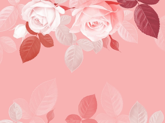 Foto rose carta vintage floreale con fiori