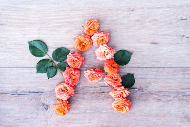 Foto a, alfabeto del fiore delle rose isolato su fondo di legno grigio, disposizione piana