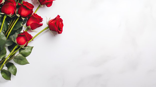 Roses Flower background