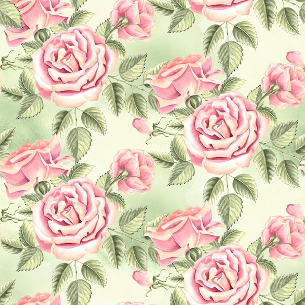 roses flowers and buds soft light pink with green leaves spring seamless pattern hand