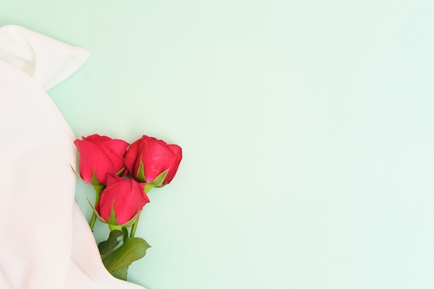 roses lying on blue background