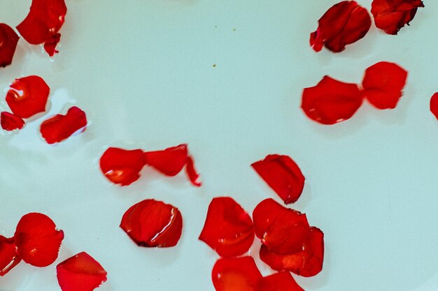 Photo roses and petals in a bathtub