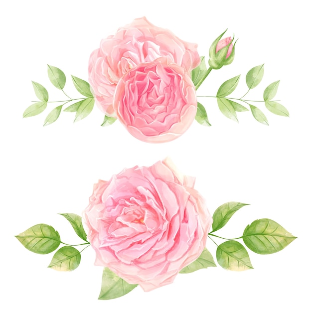 장미 수채화 그림 섬세 한 낭만적인 꽃 장식