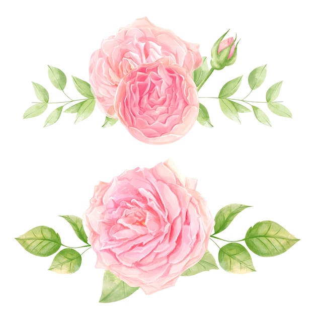 Roses Watercolor Illustration delicate romantic flowers for decoration