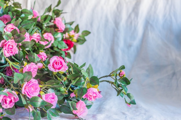 roses on a white background.