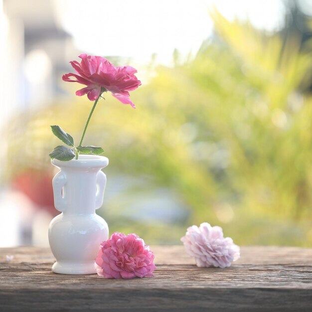 Roses in a white vase on brown wooden table