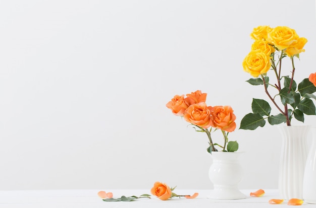 Roses in white vase